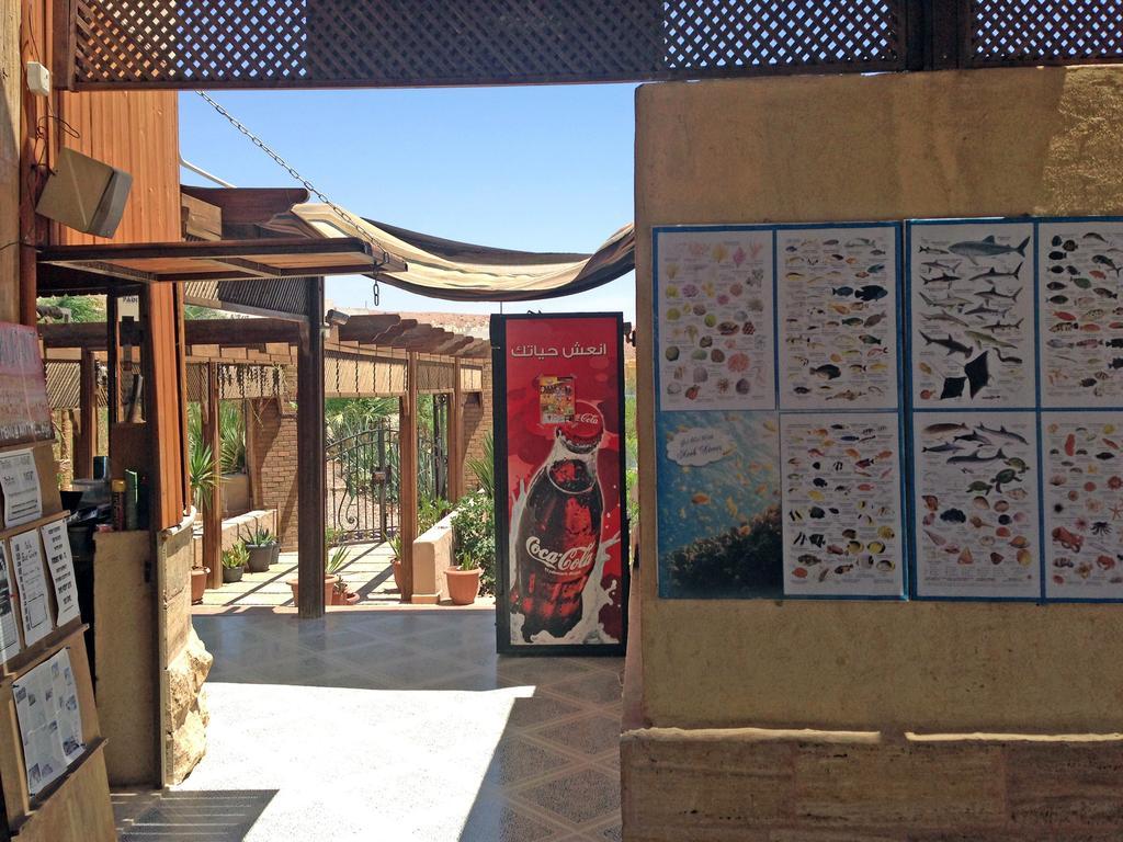 Arab Divers Dive Center And Bed & Breakfast Aqaba Exterior foto